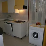 In 24403 ביביונה